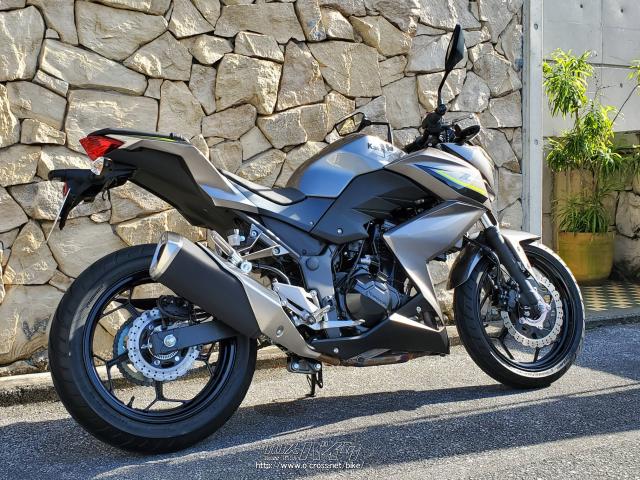 カワサキ Z250・2014(H26)初度登録(届出)年・シルバーM・250cc・モトフリークウイリー 那覇店・6,500km・保証付・12ヶ月 |  沖縄のバイク情報 - クロスバイク