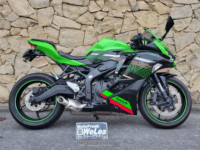 kawasaki cross 250cc