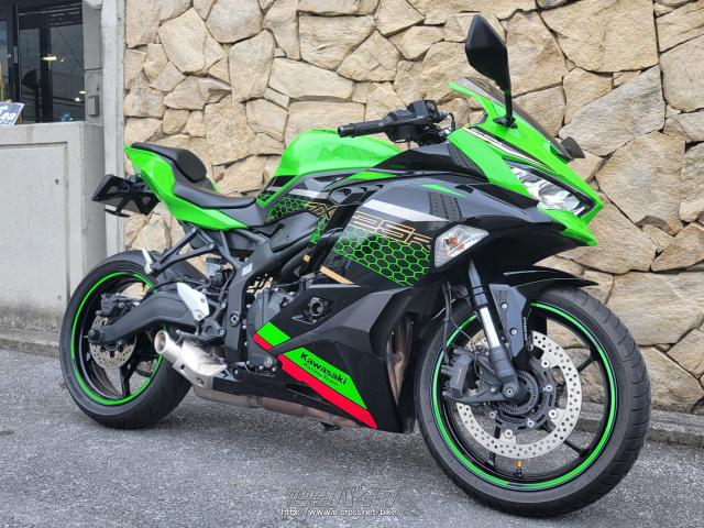 kawasaki cross 250cc