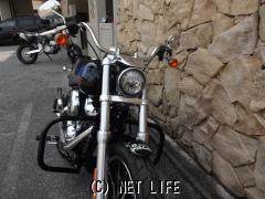 ハーレーダビッドソン ソフテイル