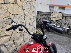 ハーレーダビッドソン ソフテイル