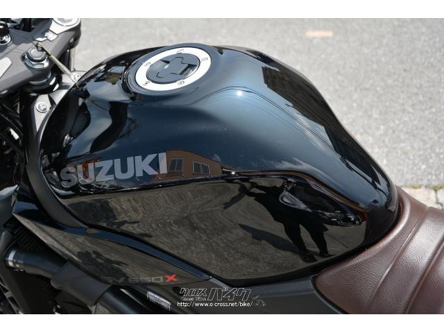スズキ SV650X