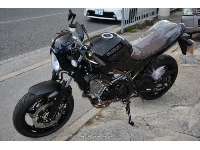 スズキ SV650X