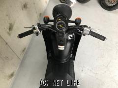 沖縄アダン＊240.362.413.418.425.427-430 ゴルトランタンソーラーライト NRO-08 4975149442249