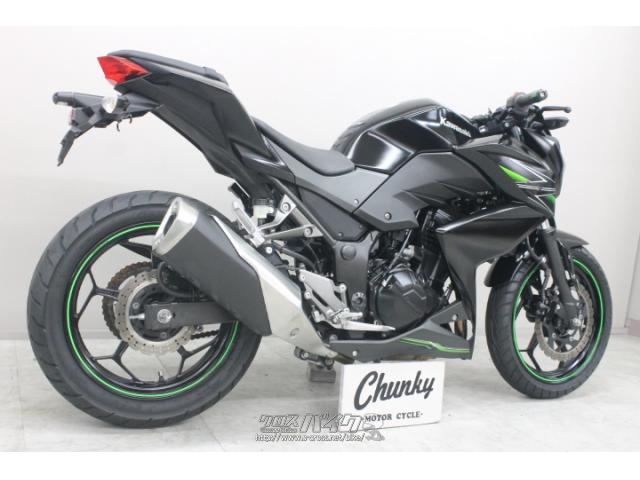 カワサキ Z250