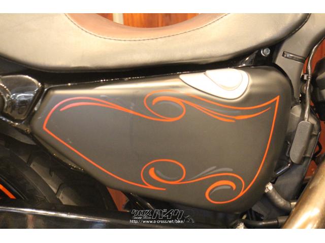 ハーレーダビッドソン スポーツスターXL883 N・2009(H21)初度