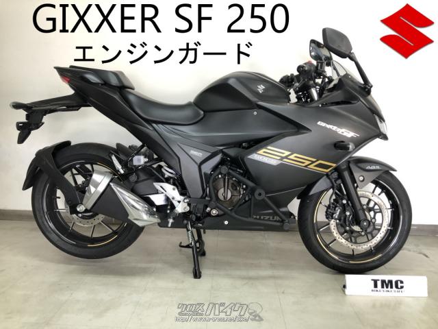 外装パーツ・GIXXER SF250・エンジンガード(カスタムパーツ)・2.67万円