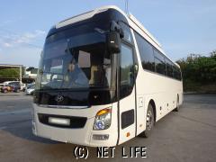 ヒョンデ その他