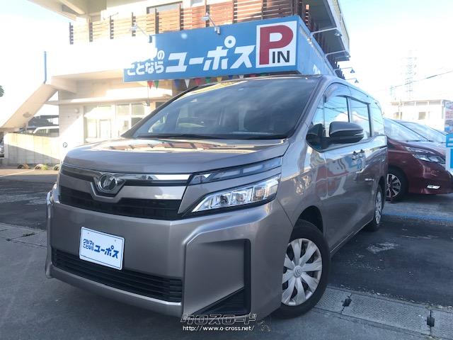 トヨタカラーサンプル ヴォクシー（80系後期型）アバンギャルドブロンズ トヨタカラーサンプル ヴォクシー（80系後期型）アバンギャルド