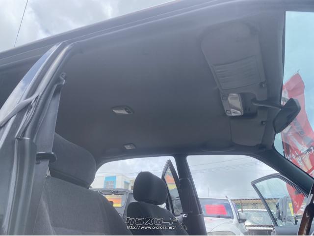 光岡自動車 ガリュー