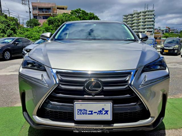落ち着いたプラチナムシルバーメタリック レクサス NX