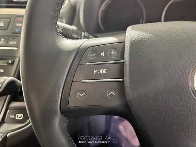 手元で楽々オーディオ操作!クルーズコントロール レクサス HS