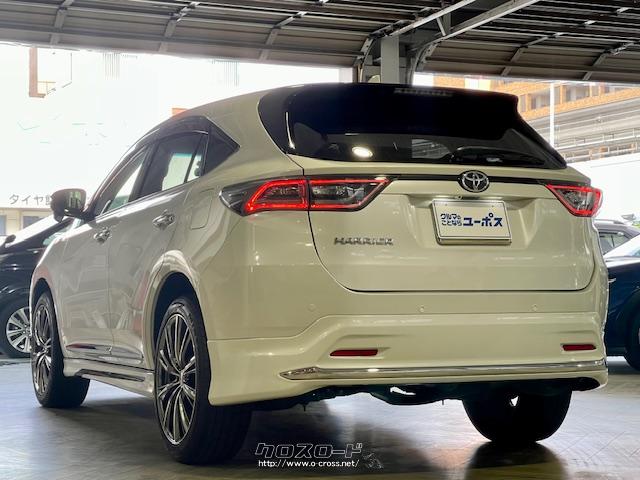 サスペンション形式(前)ストラット式コイルスプリングサスペンション形式(後)ダブルウイッシュボーン式コイルスプリングブレーキ形式(前)ベンチレーテッドディスク トヨタ ハリアー