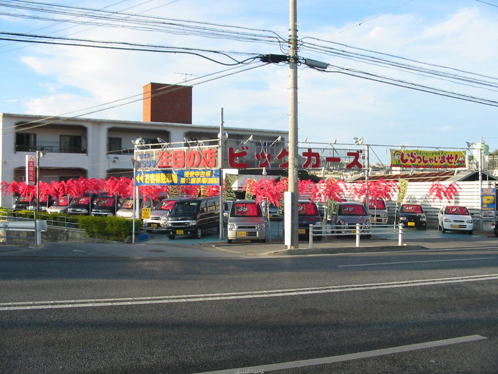 ビッグカーズ