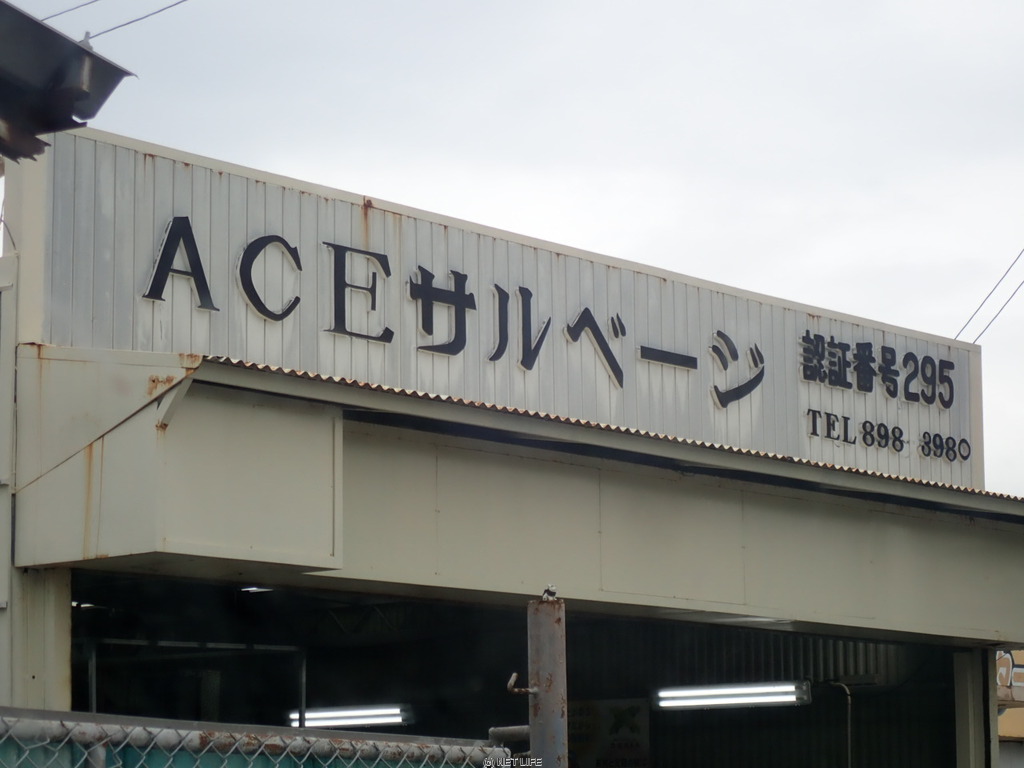 ACEサルベージ