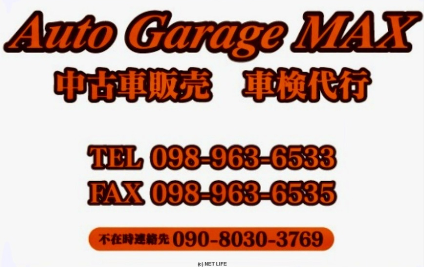Auto Garage MAX
